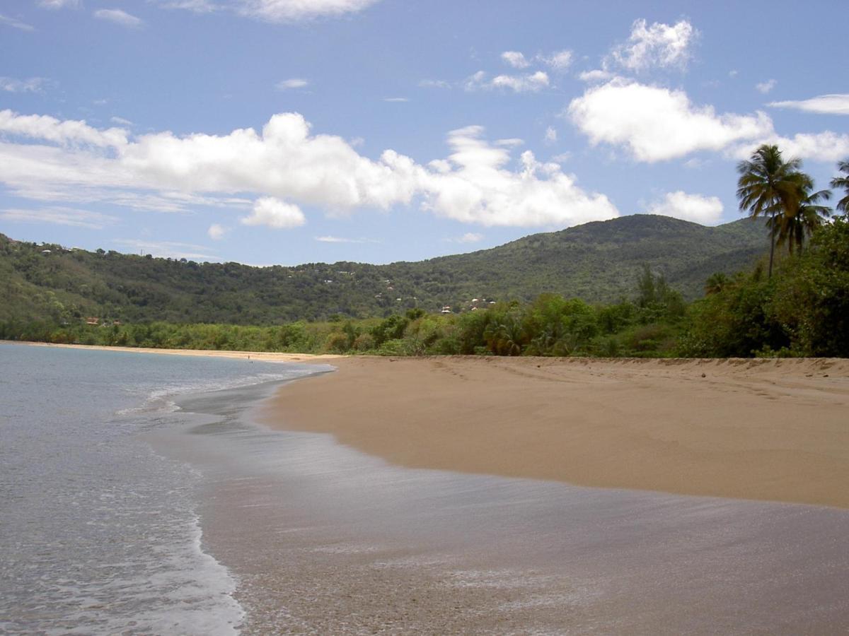 Villa Mielecajou, Entre Mer Et Montagne Десе Екстериор снимка